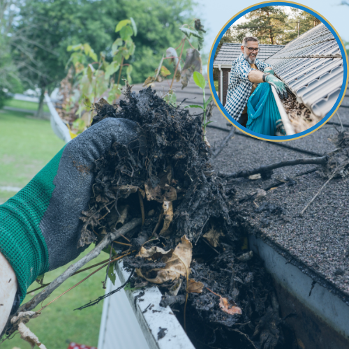 Protect Your Home: The Value of Professional Gutter Cleaning