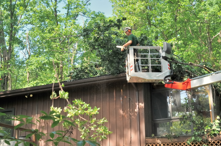 Keep Your Roof Strong | Essential Roof Maintenance Checklist