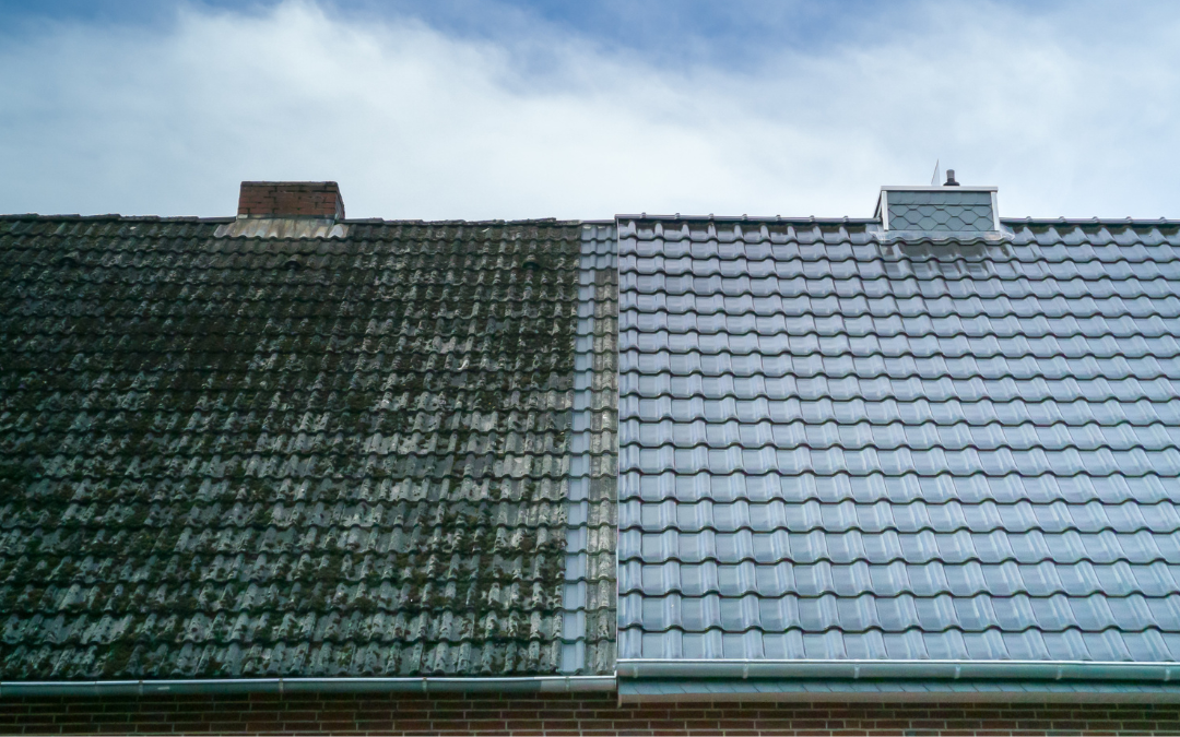 What is the Proper Way to Clean Your Roof