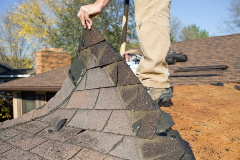 Assess Shingle Condition