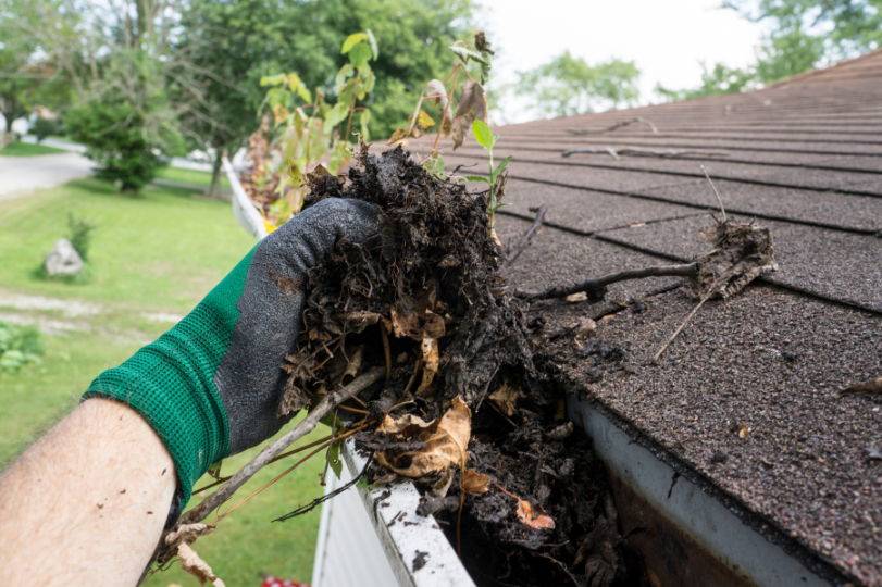 Inspect and Clean Gutters