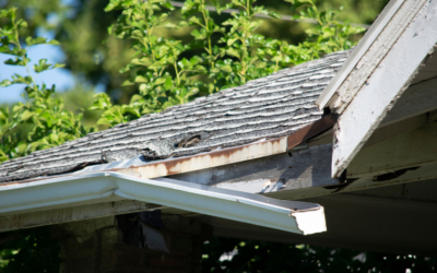 How to Safeguard Your Gutters from Storm Damage