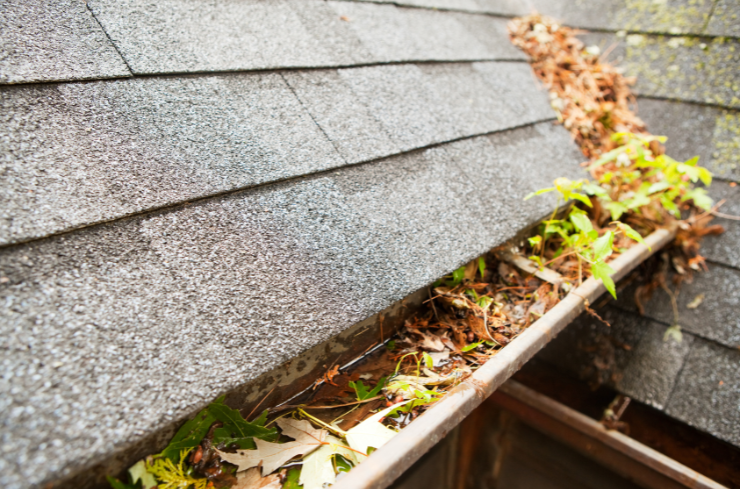 Clean Gutters and Downspouts