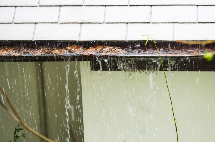 How Can You Ensure Effective Fall Roof and Gutter Care?<br />
