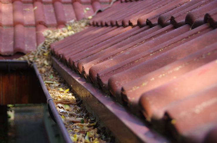 How Can You Ensure Effective Fall Roof and Gutter Care?<br />
