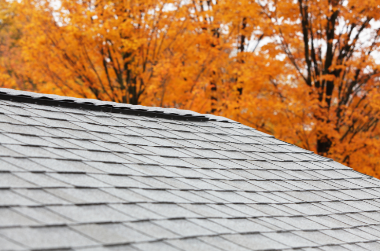 How Do You Check Flashing and Seals for Fall Roof and Gutter Care?