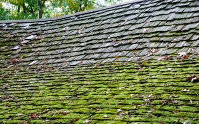 Is Your Roof Sagging? Discover the Causes and Solutions