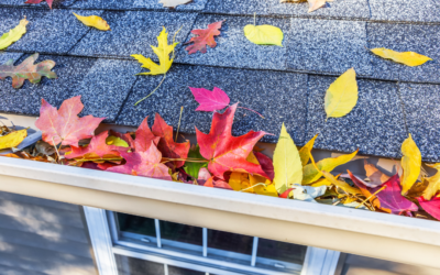 Simple Ways to Care for Your Roof and Gutters This Fall Season