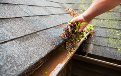 What Are the Top 5 Dangers You Should Know About Gutter Cleaning at Home?