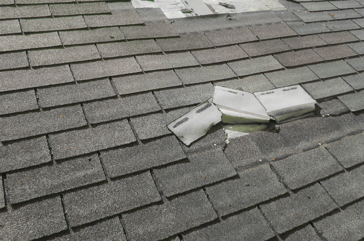 What Steps Should You Take for Fall Roof and Gutter Care?