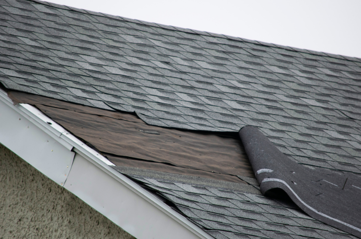 What Steps Should You Take for Fall Roof and Gutter Care?