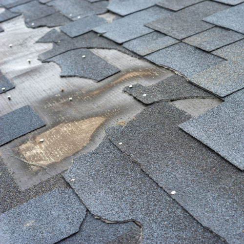 Why Missing Shingles Are a Bigger Problem Than You Think?<br />
