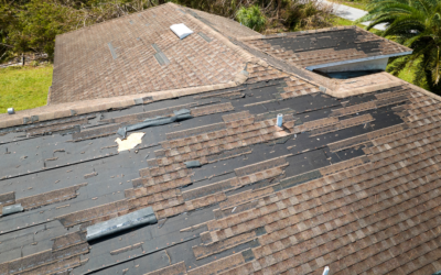 Why Missing Shingles Are a Bigger Problem Than You Think?