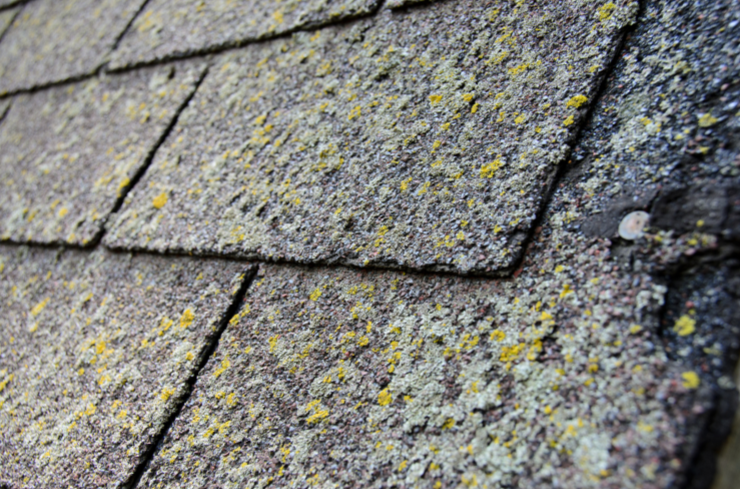 Why Scheduling Roof Maintenance is the Key to a Longer-Lasting Roof