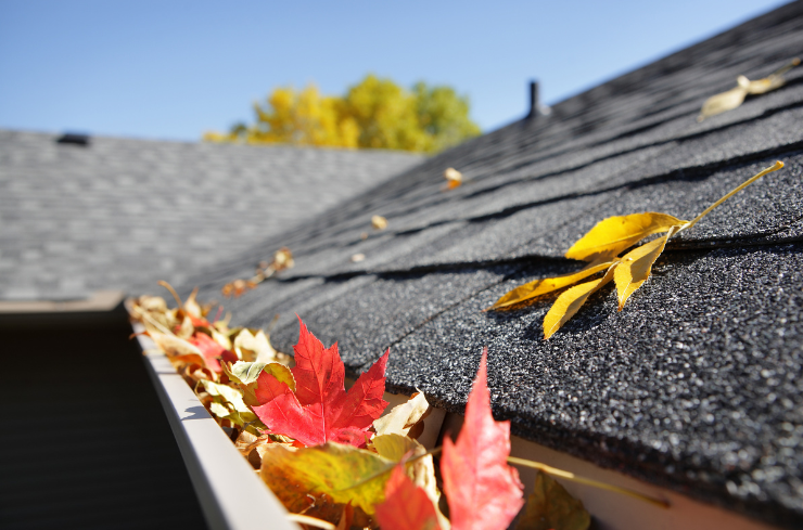 Why Scheduling Roof Maintenance is the Key to a Longer-Lasting Roof