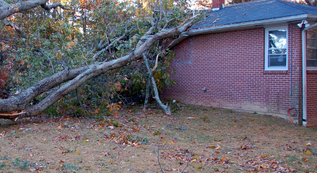 How to Get Your Commercial Roof Ready for Winter