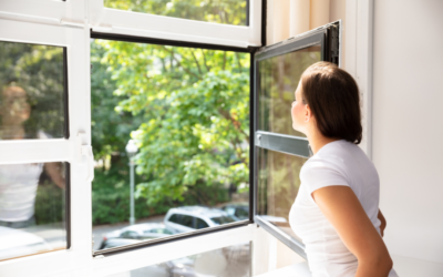 Not Sure Which Windows Are Right for Your Home? Here Are 6 Types You’ll Want to Check Out!