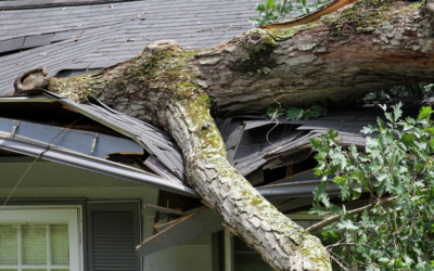 How Insurance Works for Storm-Damaged Roofs and Siding