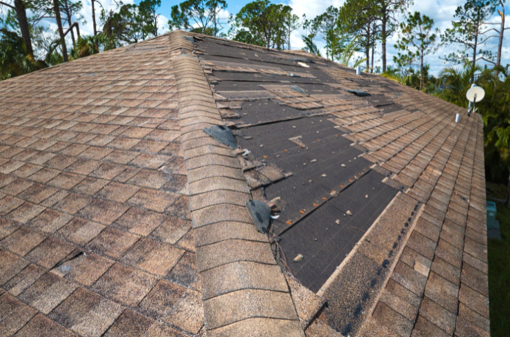 What Are the Common Roof Problems Seen This Summer?