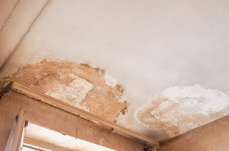 What Are the Common Roof Problems Seen This Summer?