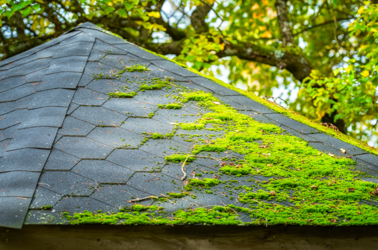 What Are the Common Roof Problems Seen This Summer?