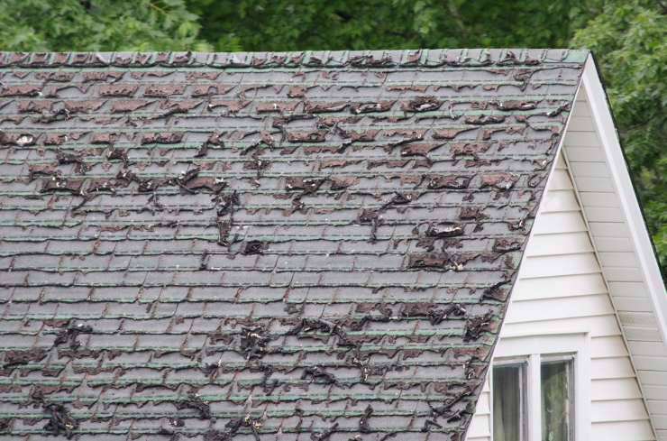 What Are the Common Roof Problems Seen This Summer?
