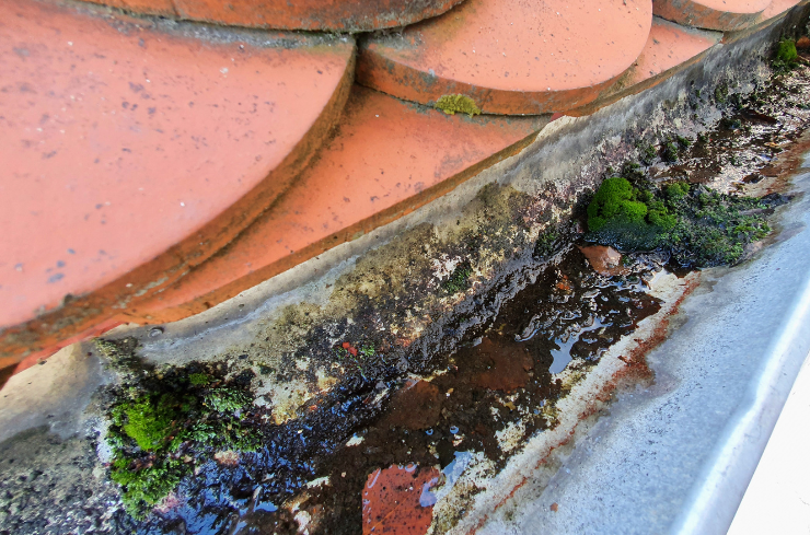 What Are the Common Roof Problems Seen This Summer?