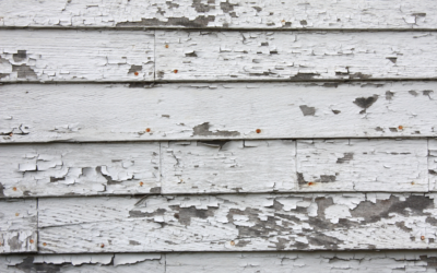 Faded, Cracked, or Peeling? What Your Siding Is Telling You This Summer