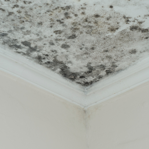 5 Signs Your Attic Isn’t Ventilating Properly