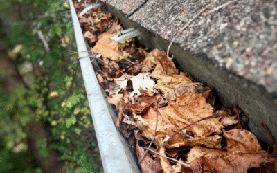 How to Protect Gutters from Clogging During Leaf Season