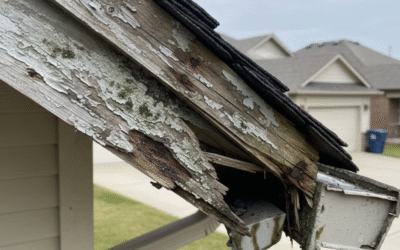 How the Weather Messes with Your Fascia and Simple Ways to Protect It