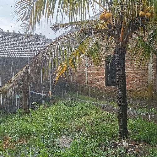 How the Weather Messes with Your Fascia and Simple Ways to Protect It