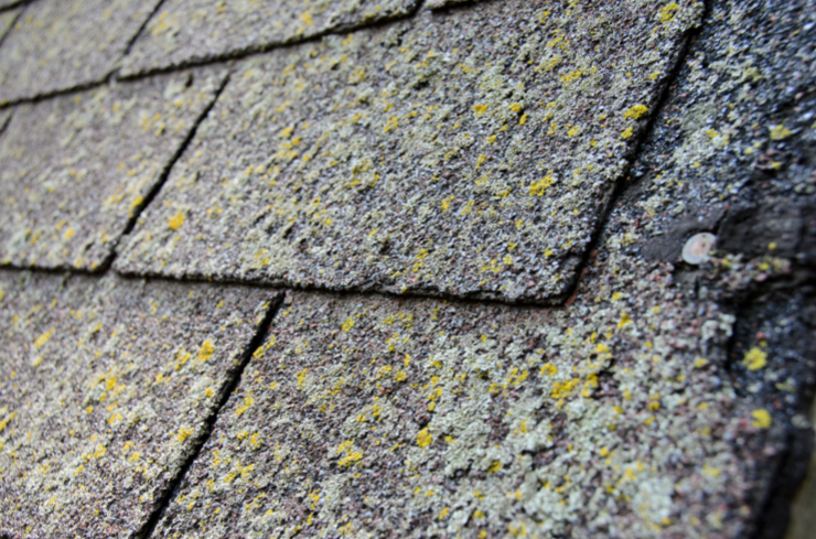 What Should Be on Your New Year Roof Maintenance Checklist