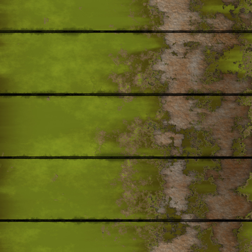 What’s the Best Way to Prevent Mold on Your Home’s Siding?