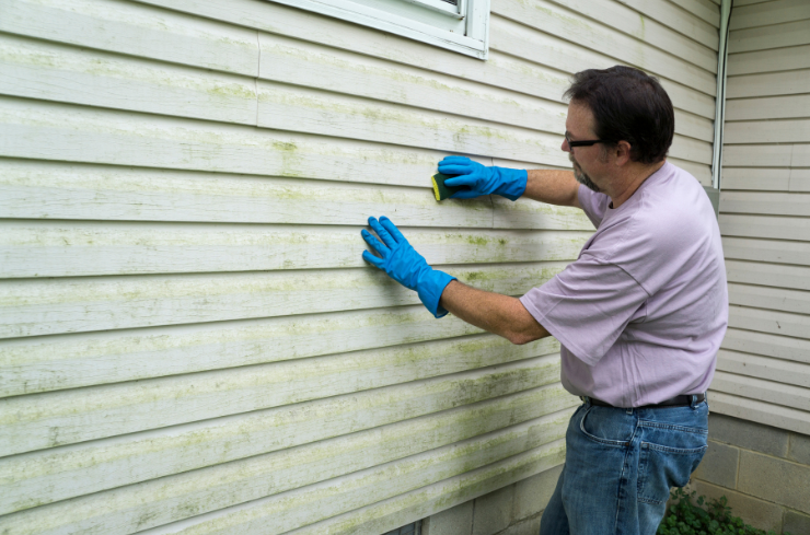 3. Stains or a Musty Smell Inside 5 Signs Winter Ruined Your Siding (And You Didn’t Notice)