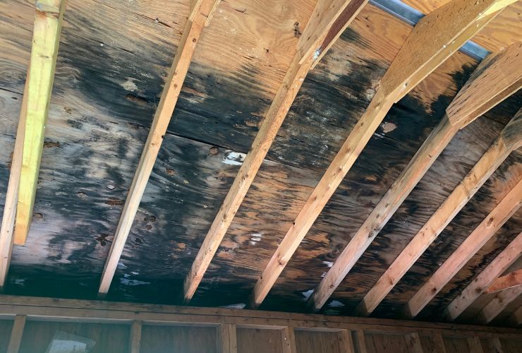 Moisture is also a problem - Roofing Ventilation Explained Improve Airflow and Extend Roof Life - Roof Ventilation Roofing Ventilation Explained Improve Airflow and Extend Roof Life - Roof Ventilation