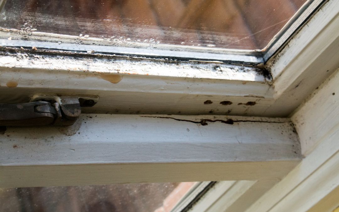 6. You See Visible Decay and Damage - Replacement Windows 7 Warning Signs You Need Replacement Windows - Replacement Windows - The Best Roofing Contractors in Akron, Ohio - Replacement Windows